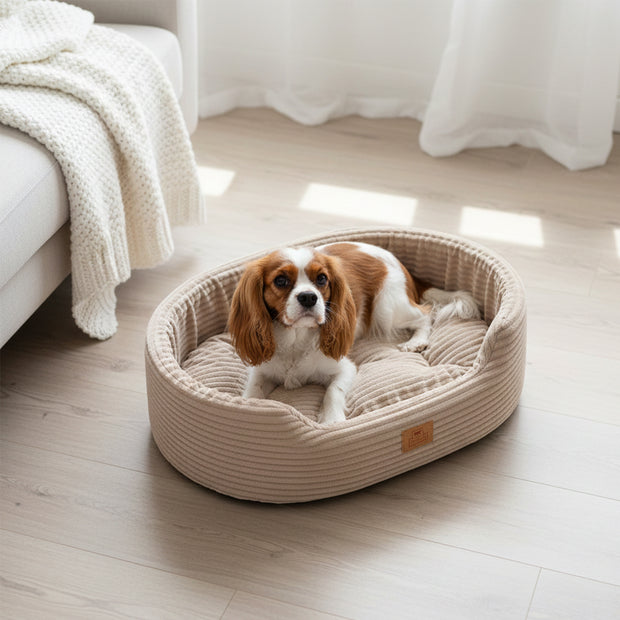 DANDY CORDUROY Panier divan avec coussin amovible pour chiens et chats