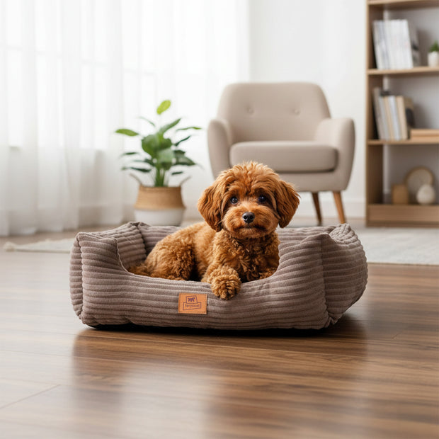 SWEETIE CORDUROY Panier moelleux pour chiens et chats