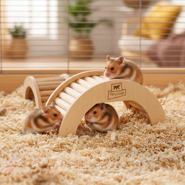ARCADE ARCH Jouet en bois pour hamster