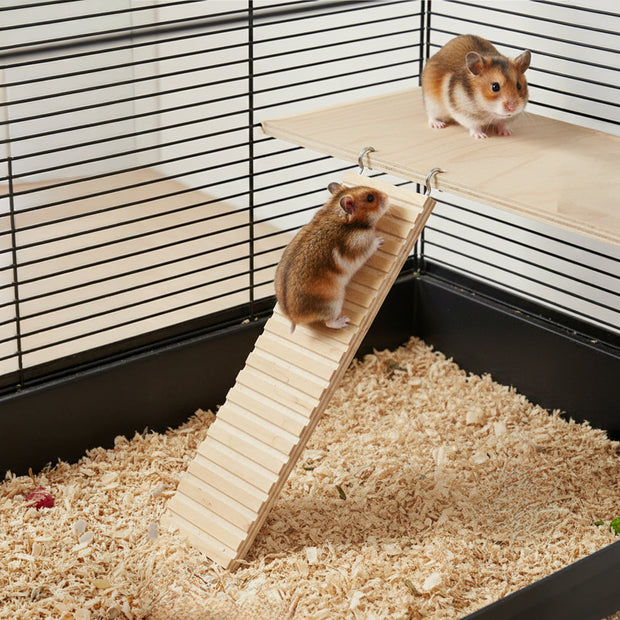 ARCADE LADDER Jouet en bois pour hamsters et petits animaux