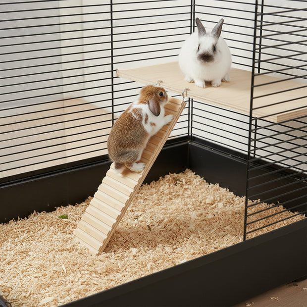 ARCADE LADDER Jouet en bois pour hamsters et petits animaux
