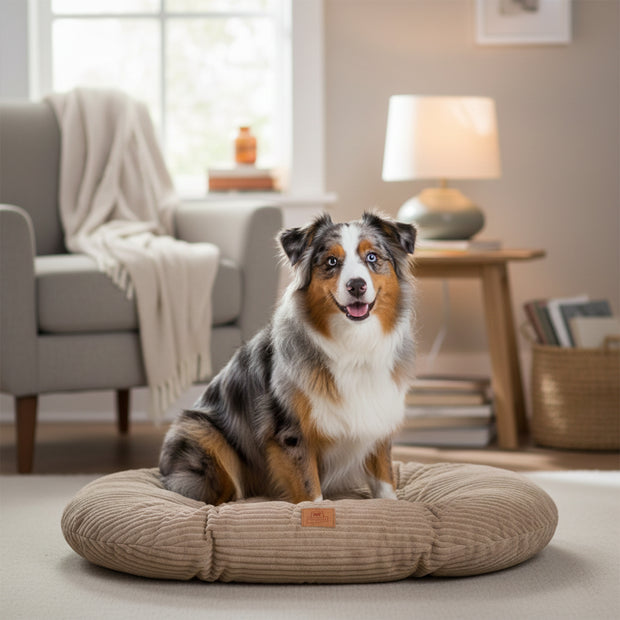 RELAX CORDUROY Coussin ovale pour chiens et chats