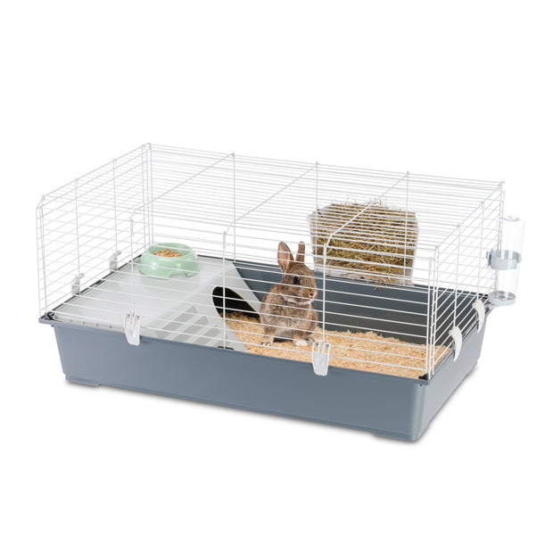 RABBIT 100