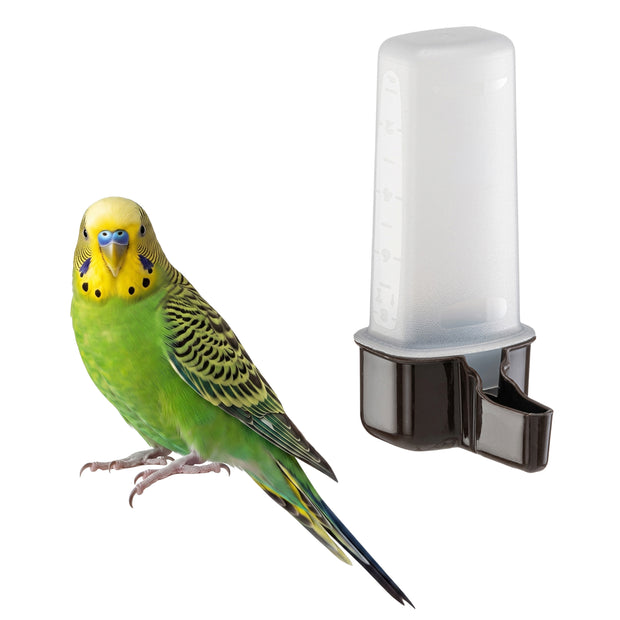 Distributeur d’eau ou de nourriture pour oiseaux