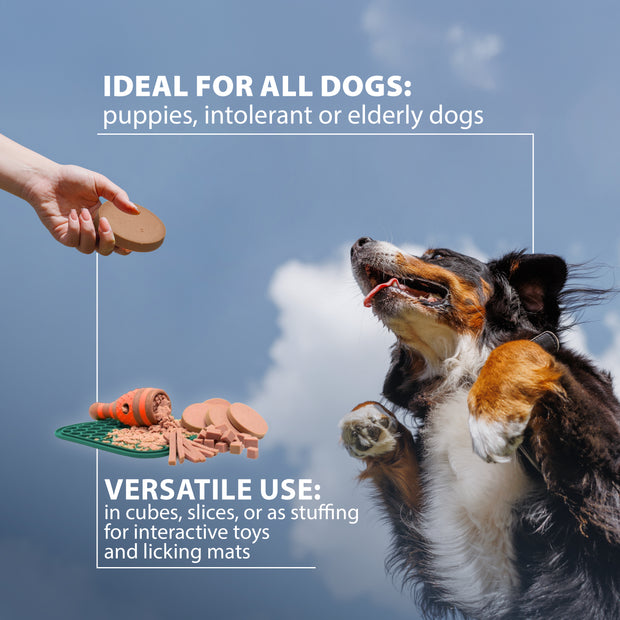 100% SNACK CHICKEN SAUSAGE