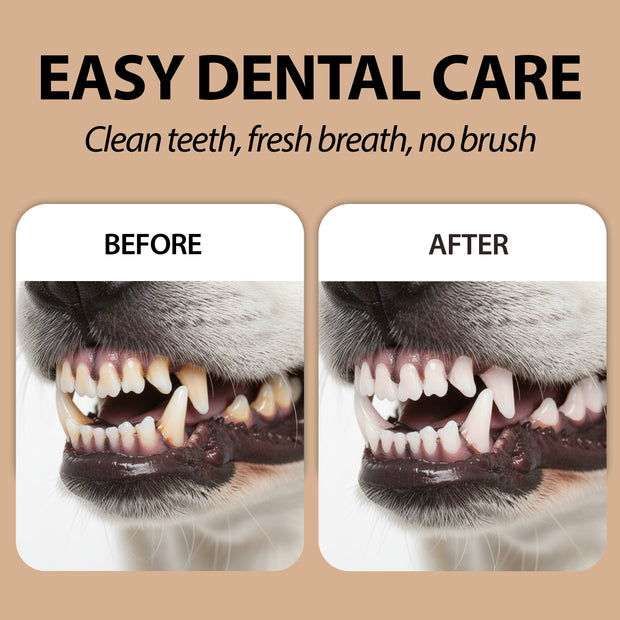 LINGETTES NETTOYANTES POUR LES DENTS NATURÉ – POUR CHIENS ET CHATS (x50)