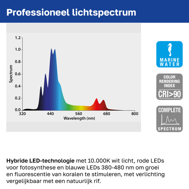Lampe AQ-LUX REEF