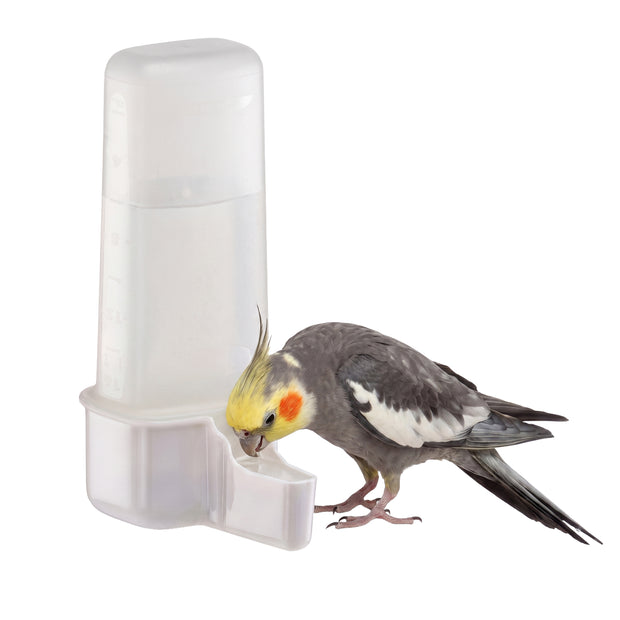 Distributeur d’eau ou de nourriture pour oiseaux