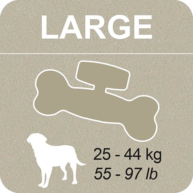 100% SNACK A REMPLIR - BONE EUGLENA