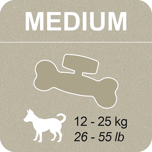 100% SNACK A REMPLIR - BONE YUCCA