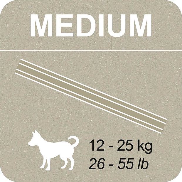 100% SNACK BÂTONNETS - SNOWFLAKE MELISSA