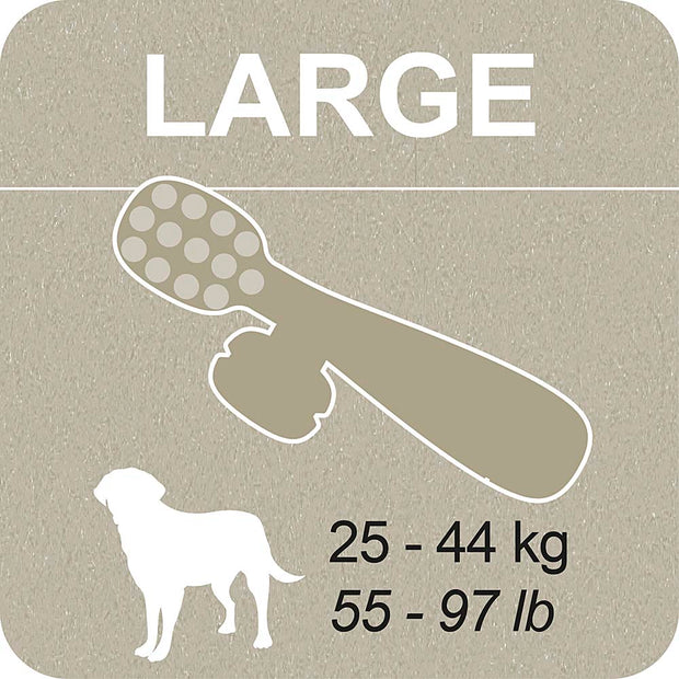 100% SNACK A REMPLIR -  TOOTHBRUSH ASCOPHILLUM