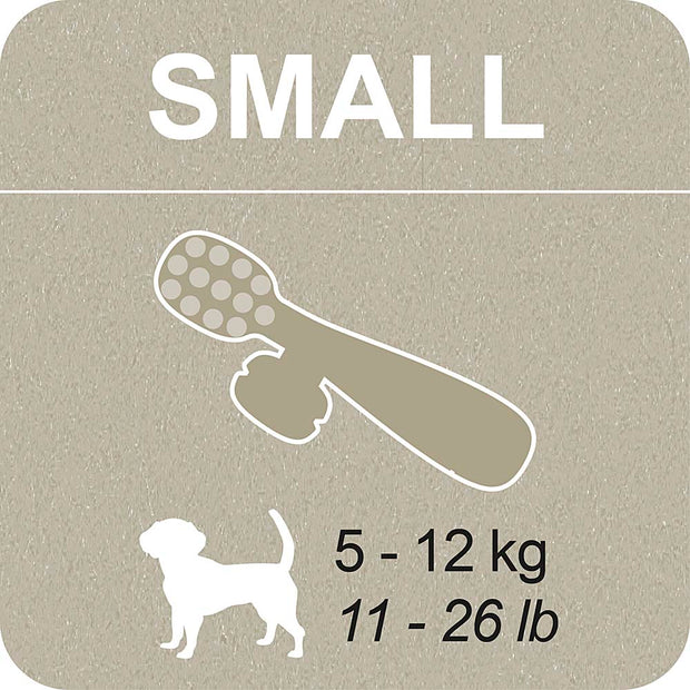 100% SNACK A REMPLIR -  TOOTHBRUSH ASCOPHILLUM