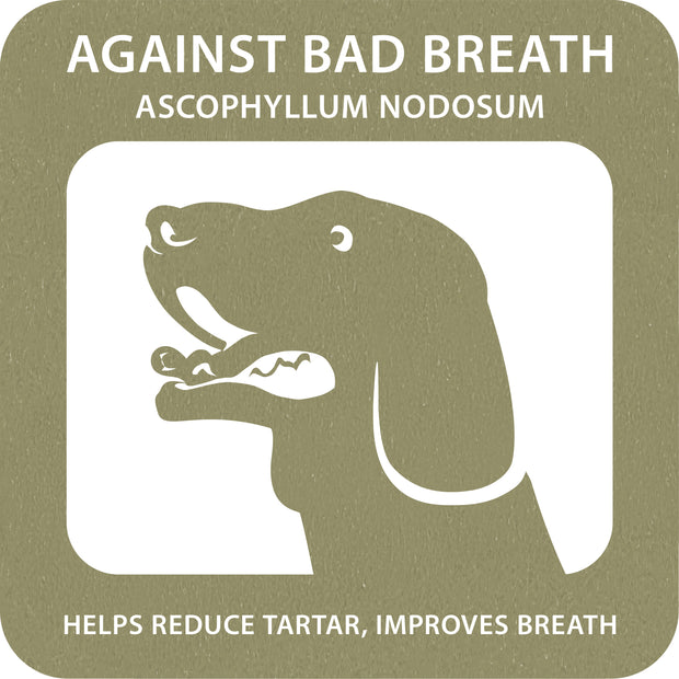 100% SNACK BÂTONNETS - FUSILLI ASCOPHILLUM