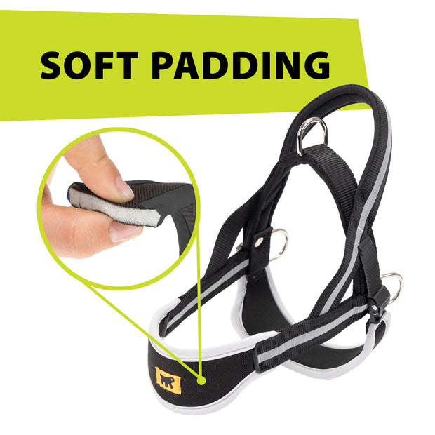 ERGOCOMFORT NORDIC
