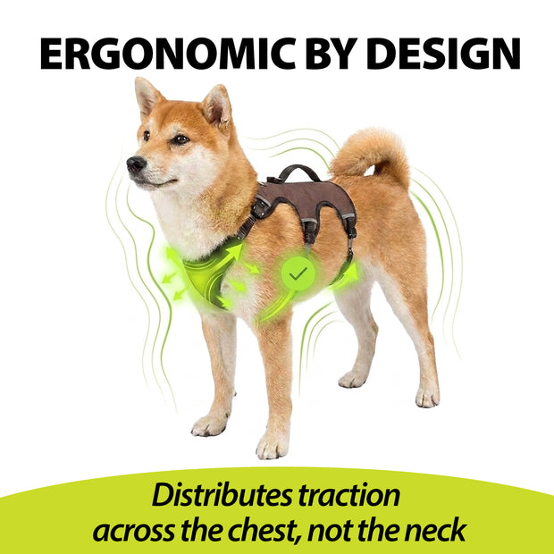 ERGOTREKKING