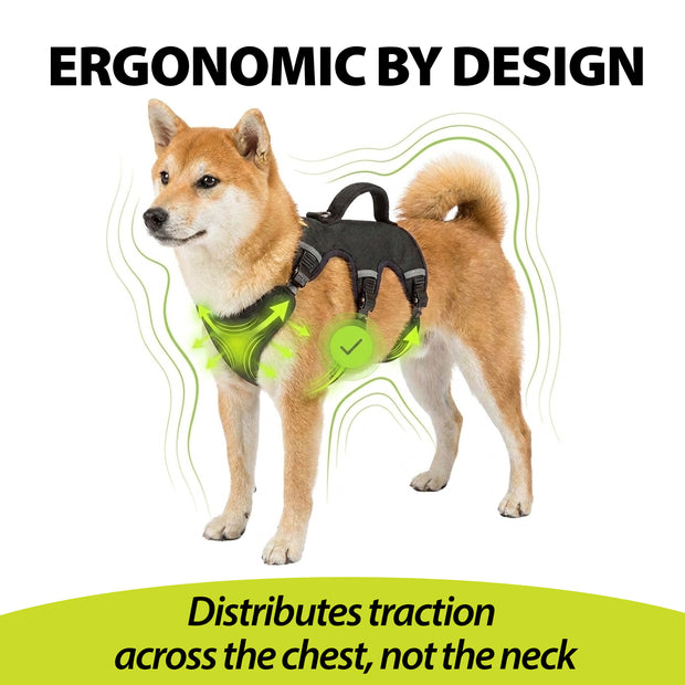 ERGOTREKKING