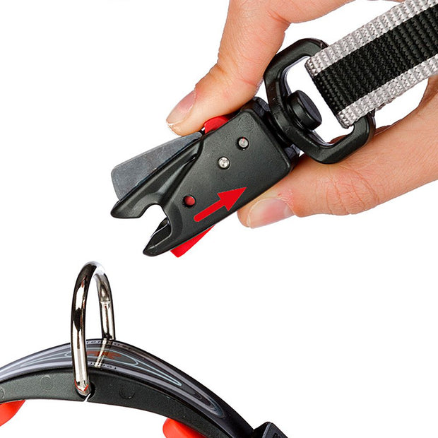 DAYTONA GUMMY MATIC G20/100