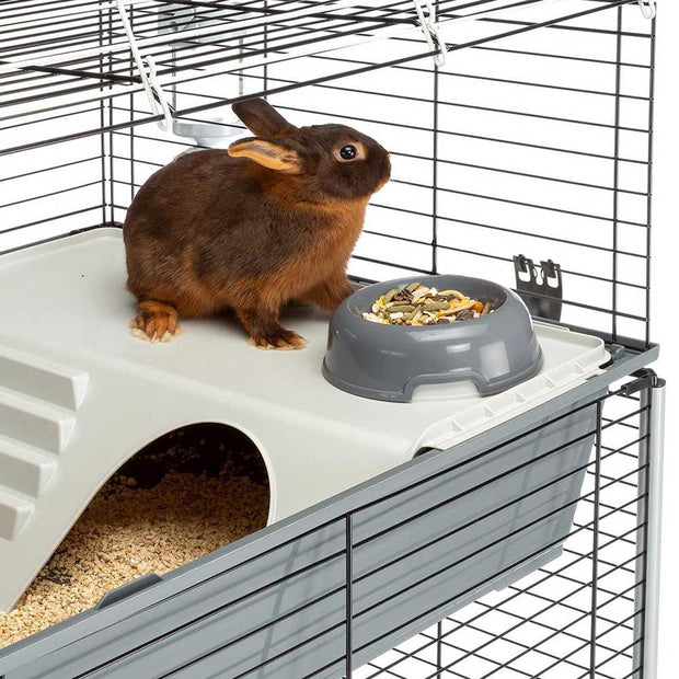 RABBIT 100 DOUBLE