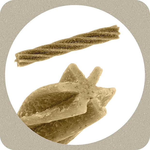 100% SNACK BÂTONNETS - FUSILLI ASCOPHILLUM