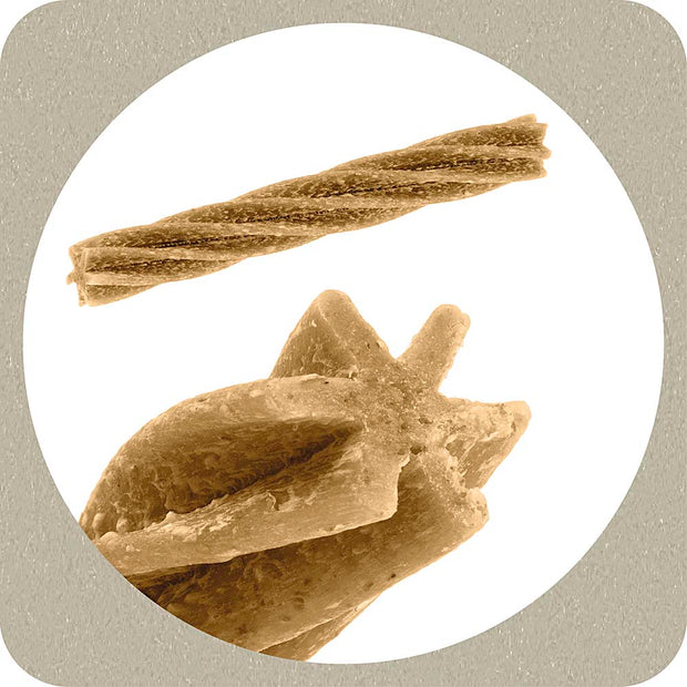 100% SNACK BÂTONNETS - FUSILLI EUGLENA