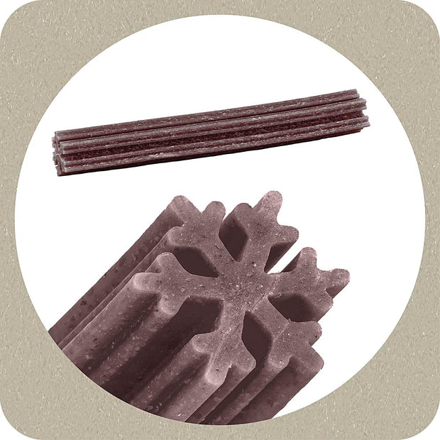 100% SNACK BÂTONNETS - SNOWFLAKE MELISSA