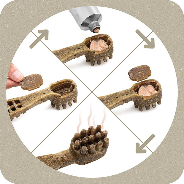 100% SNACK A REMPLIR -  TOOTHBRUSH ASCOPHILLUM