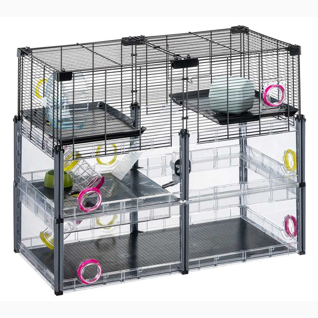 MULTIPLA HAMSTER CRYSTAL