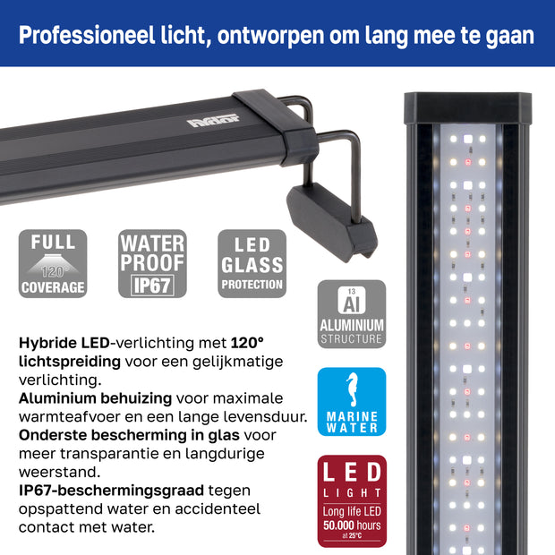 Lampe AQ-LUX REEF