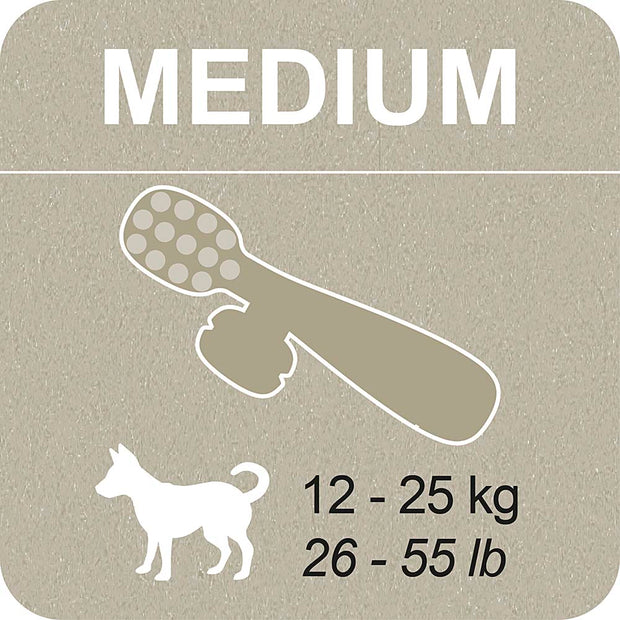 100% SNACK A REMPLIR - TOOTHBRUSH ASCOPHILLUM