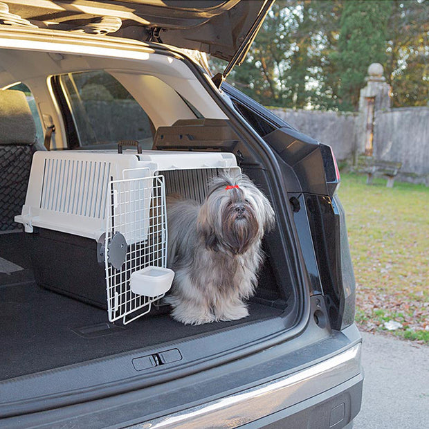 Caisse de transport Atlas pour chien et chat