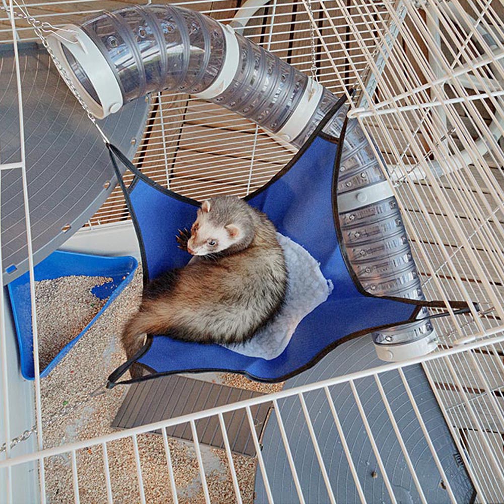 Ferplast Cage confortable pour fûrets et rats FURAT, strucutre à plusieurs  niveaux avec accessoires inclus, angles renforcés, vernis métal et